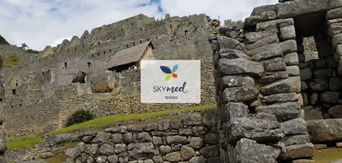 Imagem Criação de Flyer Skymed